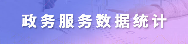 政務(wù)服務(wù)數(shù)據(jù)統(tǒng)計